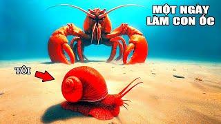 THỬ THÁCH Một Ngày LÀM CON ỐC MẠNH NHẤT THẾ GIỚI  Another Crab Treasure