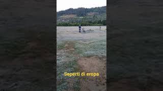 rumput jadi es seperti di eropa #video #shorts #dieng #indonesia