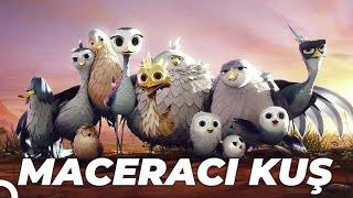 Maceracı Kuş Yellowbird Animasyon Filmi  Full Film İzle