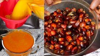 HOW TO EXTRACT AND PRESERVE YOUR PALM NUT CONCENTRATE FOR AS LONG AS YOU WANT