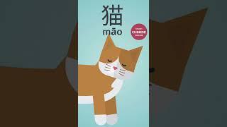 Learn Chinese Online 猫