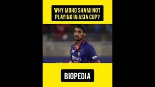 Why No Shami In Indian T20 Team?