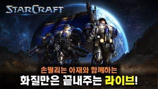 손떨리는 아재의 화질만은 끝내주는 스타크래프트 라이브 2024.06.29