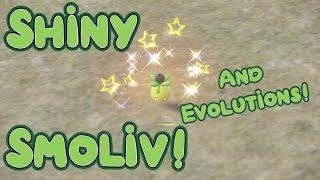 Shiny Smoliv + Evolutions - Pokemon Violet