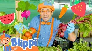 Blippi Learns Healthy Eating For Kids At Tanaka Farm  Educational Videos For Toddlers