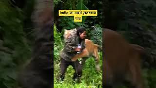 Most dangerous village to live   #sundarkhal  #shorts  pooja Ranaut  #tigerattack