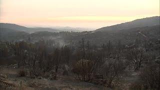 Cranston Fire in Idyllwild area grows to 12300 acres  ABC7