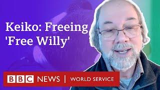 How Free Willy was set free - Witness History BBC World Service