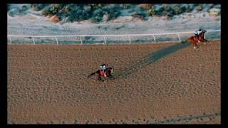 Drone View Race Horses in The Morning