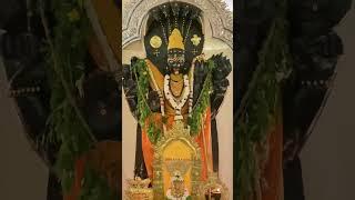 Narasimha yagya 22 May 2024 #narasimha #yagya #jayanti