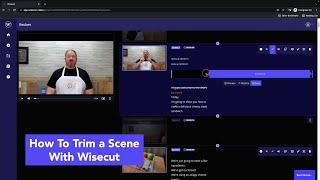 How to Trim a Scene With Wisecut