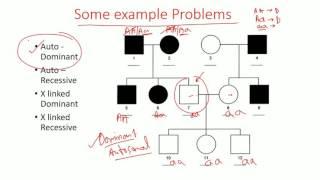 Pedigree Analysis methods - dominant recessive and x linked pedigree