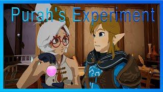 Purahs Experiment Zelda fan animation