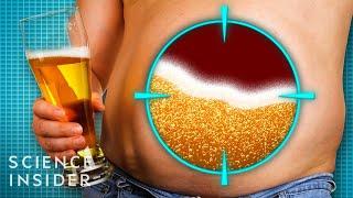 Why Do Men Get Beer Bellies?