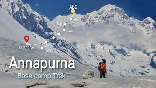 Annapurna Base Camp  Huge Snow & the Complete ABC Trek Experience