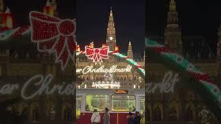 12월 화려한 비엔나 겨울Christmas in vienna #크리스마스마켓 #크리스마스 # #christmas #christmasmarket #wien #shorts