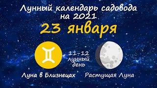 Календарь огородника на 23 января 2021 года. Лунный посевной календарь садовода  Флористикс Инфо