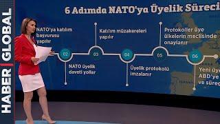 Finlandiya ve İsveçin Önünde Bu Yollar Var İşte 6 Adımda NATOya Üyelik Süreci