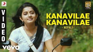 Nepali - Kanavilae Kanavilae Video  Bharath  Meera  Srikanth Deva