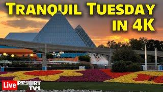4K Live Tranquil Tuesday at Epcot in 4K - Walt Disney World Live Stream - 5-14-24