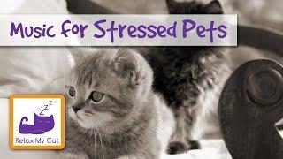 MUSIC FOR PETS Relaxing Music for Stressed or Anxious Pets. Cats Rabbits Guinea Pigs  #STRESS06