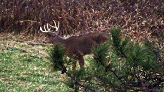 DEER HUNTING BUCK DOWN 2023 Pennsylvania Rifle Season - Jacobs First Whitetail Buck AWESOME HUNT 