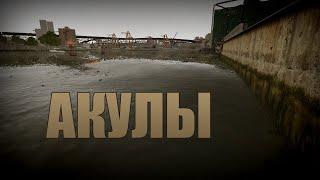 Проверка легенд  GTA IV Выпуск 4 Акулы