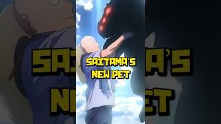 Saitama Adopts a Disaster Level Monster  One Punch Man Manga Saitamas Dog Explained