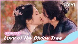 TrailerA Kiss to Establish Affection  Love of the Divine Tree  iQIYI Romance  stay tuned