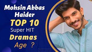 Top 10 Dramas of Mohsin Abbas Haider  Mohsin Abbas Haider Drama List  Best Pakistani Dramas