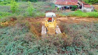 Full process complete 100% clearing forest 100X100 meter for build factory by amazing Bulldozer D31P