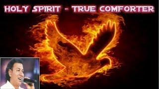 Holy Spirit   True Comforter