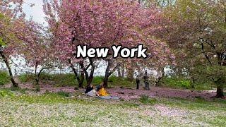 Manhattan New York Travel Usa 4k Video Walking Tour Central Park
