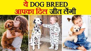 10 कुत्ते जो आपके घर के लिए Perfect हैं  Top 10  Best Dogs For Family In India