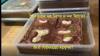 Разведение трубочника