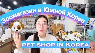 Pet shop in KoreaЗоомагазин в Корее