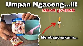 Umpan NGACENG Murah Bingit Cuma Modal 5 Ribu Tapi Makanin Banget  Umpan Jitu Ikan Mas