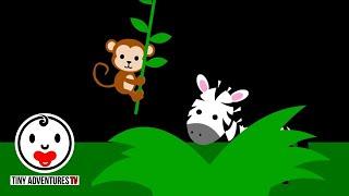 Baby Sensory - Into the Jungle - Infant Visual Stimulation - Stop Crying Baby