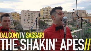 THE SHAKIN APES - BETTER TIME BalconyTV