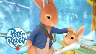 Peter Rabbit - Brotherly Love  Cartoons for Kids