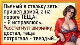 Как зять перед тёщей извинялся Сборник свежих анекдотов Юмор