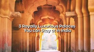 3 Royally Luxurious Palaces You Can Stay at in India