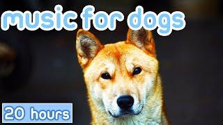 NO ADS Music for Dogs Gentle Songs to Promote Sleep Cure Depression