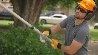 Is A $200 Pole Saw Worth It? - STIHL PP 800 Review