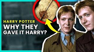 Burning Questions about the Harry Potter Twins  OSSA Movies