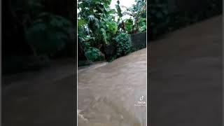 Video viral detik-detik seorang bocah terseret arus banjir