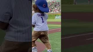 Angel Reese and Kamilla Cardoso throw out first pitches