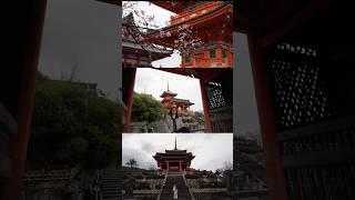 Clips from my newest yt vid  #kyoto