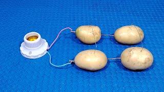 How to generate free electricity from potato 100% real  Simple Tips