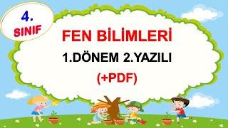 4.Sınıf Fen Bilimleri 1.Dönem 2.Yazılı + PDF